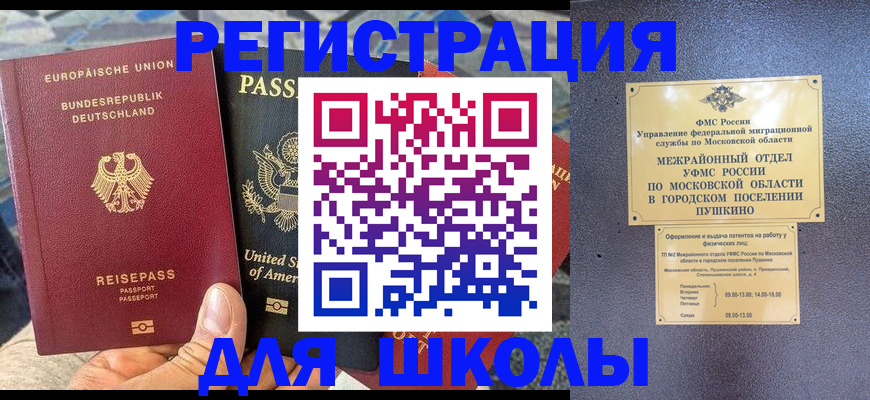 прописка 2025 в Светогорске
